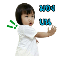64003637
