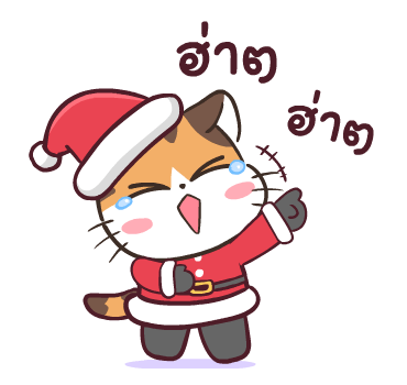 สอยดาวปีมังกร รูปที่ 16