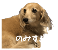 640073955