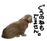 640073960