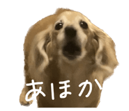 640073972