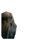 640103002