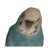 640103005