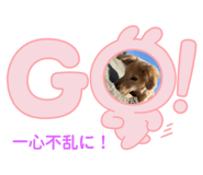 640153583