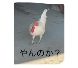 640235197