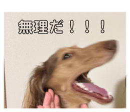 640331197