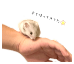 640396271