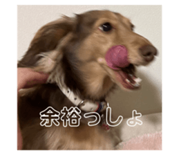 640434453