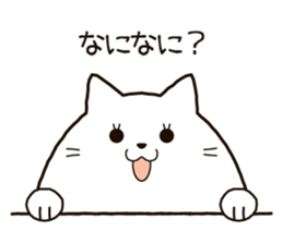 6404697