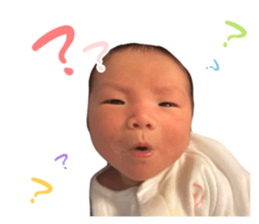 640537556