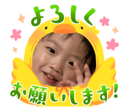 640559523