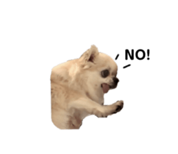 640570137