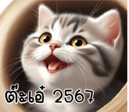 640575989
