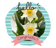 640582903