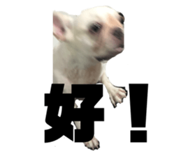 640606785