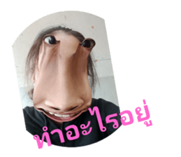 640618246