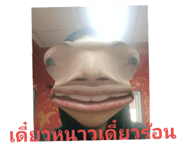 640618263