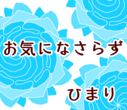 64076998
