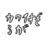 640770815