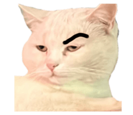 640775250