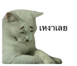 640775256
