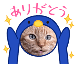 640785564