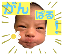 640801306