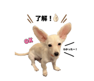 640801599