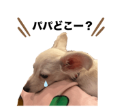 640801602