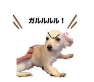 640801605