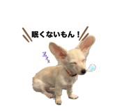 640801612