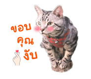 640831156