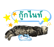 640831157