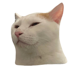 640859838