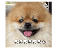640860609