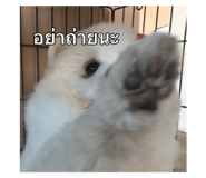 640860618