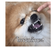640860623