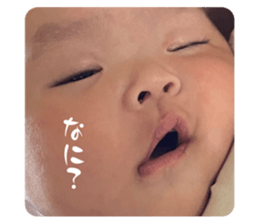 640893317