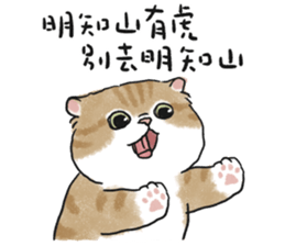 641007975