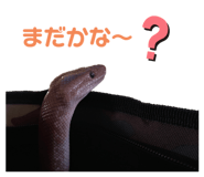 641012968