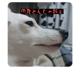 641040334