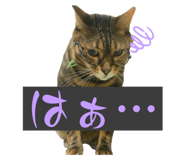 641049925