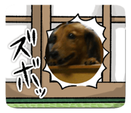 641137312