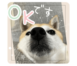641217505