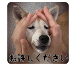 641217513