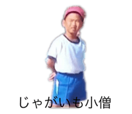 641217981