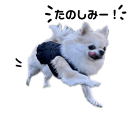 641226926