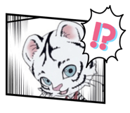 641237664