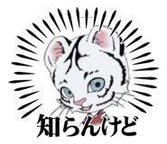 641237666