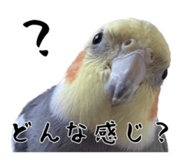 641251246